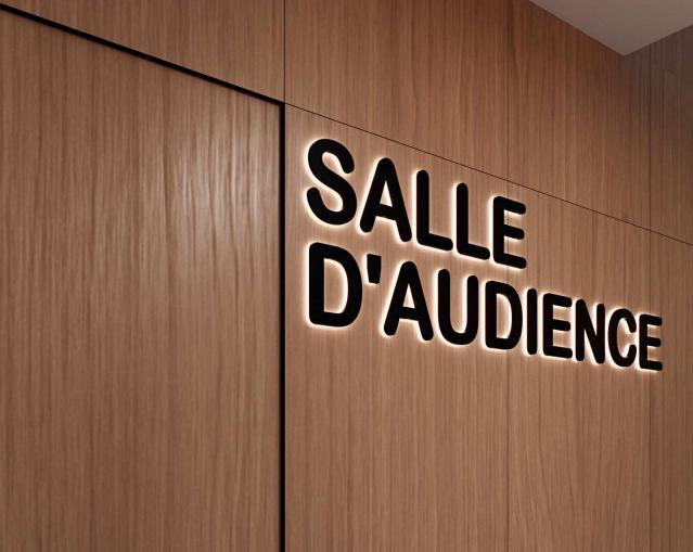 audience correctionnelle